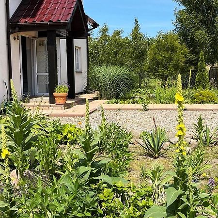 Pokoje Goscinne Neptunia Rusinowo  Eksteriør bilde